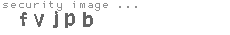 security image
