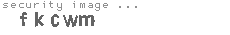 security image
