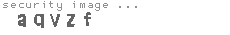 security image