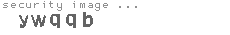 security image