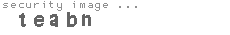 security image
