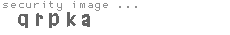 security image