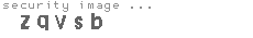 security image