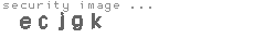 security image
