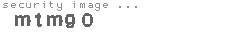 security image