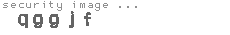 security image