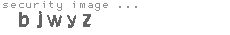 security image