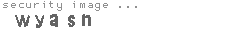 security image