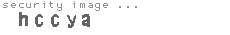 security image