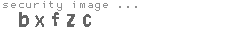 security image
