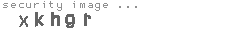 security image