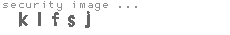 security image