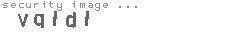 security image