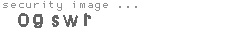 security image