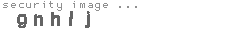 security image