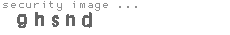 security image
