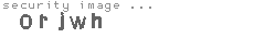 security image