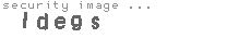 security image