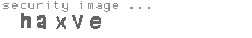security image