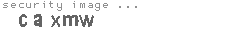 security image