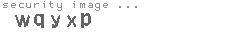 security image