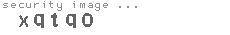 security image