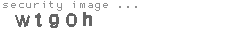 security image