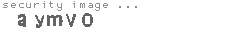 security image