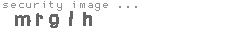 security image