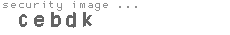 security image