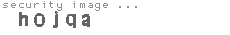 security image