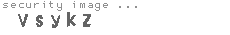 security image