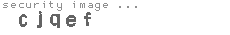 security image