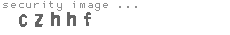 security image