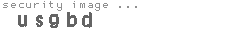 security image