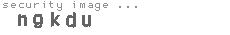 security image