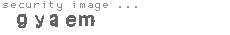 security image