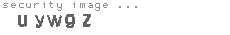 security image