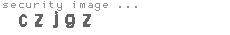 security image