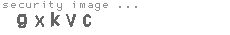 security image