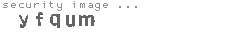security image