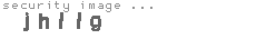 security image