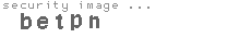 security image