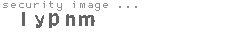 security image