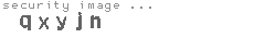 security image