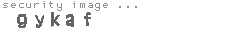 security image