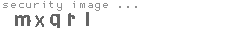 security image