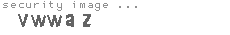 security image