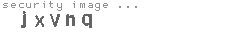 security image
