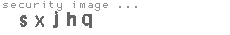security image